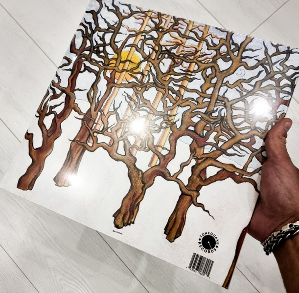 2LP платівки Low Roar - House in the Woods 119 фото