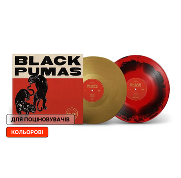 2LP платівки Black Pumas - Black Pumas. Deluxe edition 0037 фото