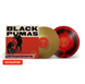 2LP платівки Black Pumas - Black Pumas. Deluxe edition 0037 фото 1