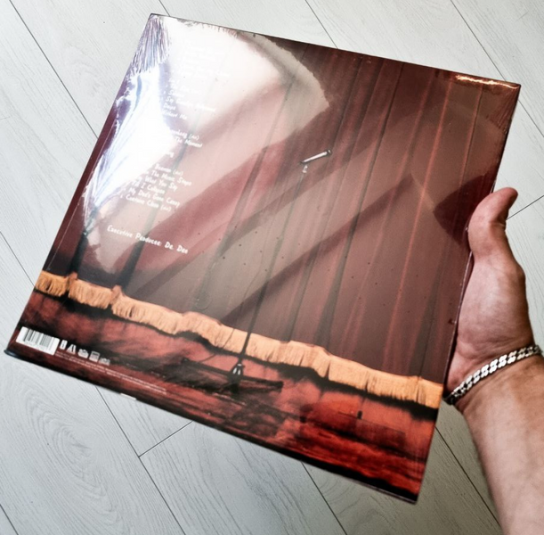2LP платівки  Eminem - The Eminem Show 151 фото