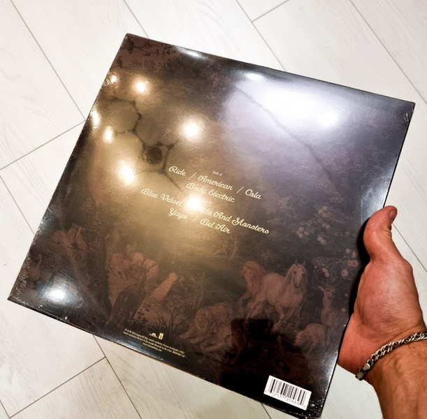 1LP платівка Lana Del Rey - Paradise 0105 фото